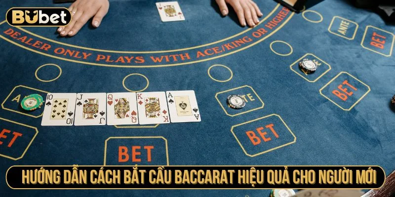 Cách bắt cầu Baccarat