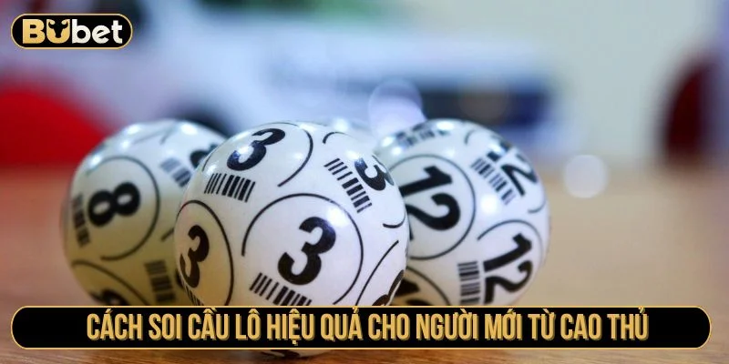 cách soi cầu lô