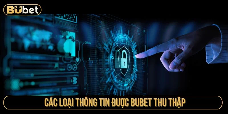Nhà cái chỉ thu thập những thông tin cần thiết
