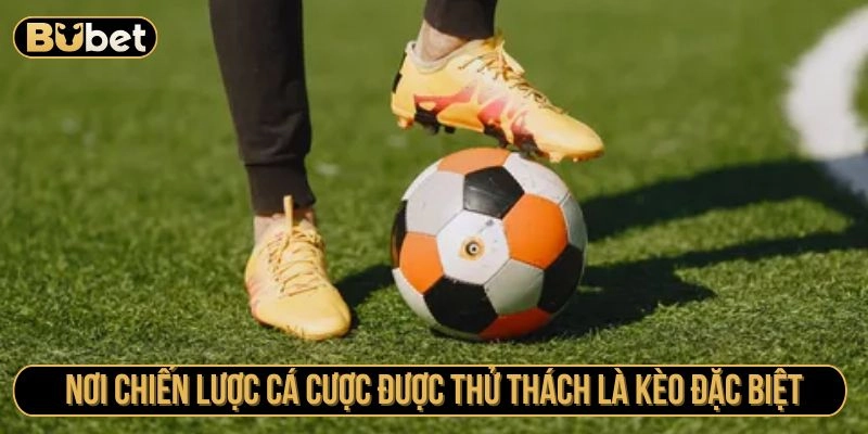 Nơi chiến lược cá cược được thử thách là kèo đặc biệt 