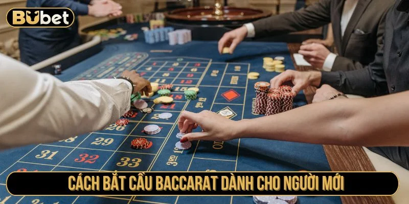 Tham khảo kinh nghiệm bắt cầu