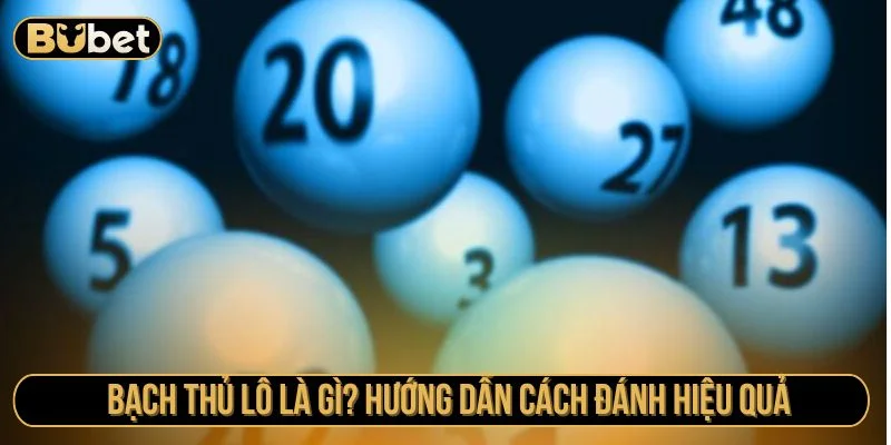 Bạch thủ lô là gì
