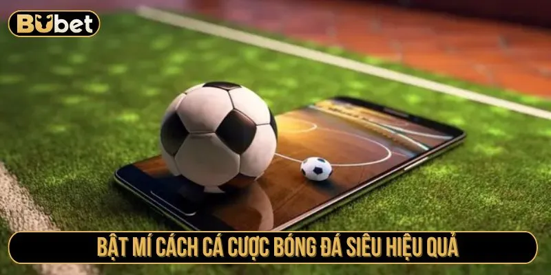 Bật mí cách cá cược bóng đá siêu hiệu quả