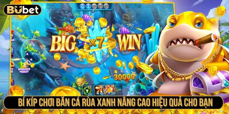 Bí kíp chơi bắn cá rùa xanh nâng cao hiệu quả cho bạn