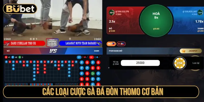 Các loại cược gà đá đòn Thomo cơ bản