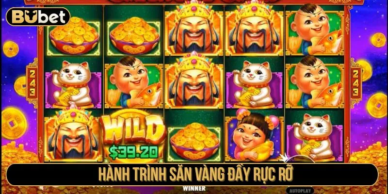 Hành trình săn vàng đầy rực rỡ