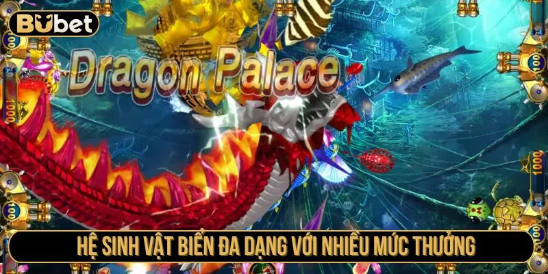 Hệ sinh vật biển đa dạng với nhiều mức thưởng
