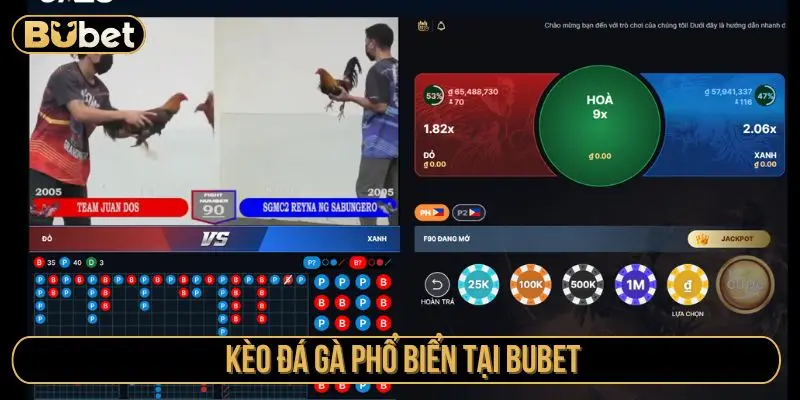 Kèo đá gà phổ biến tại Bubet