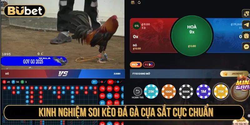 Kinh nghiệm soi kèo đá gà cựa sắt cực chuẩn