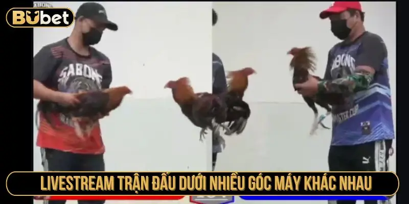 Livestream trận đấu dưới nhiều góc máy khác nhau