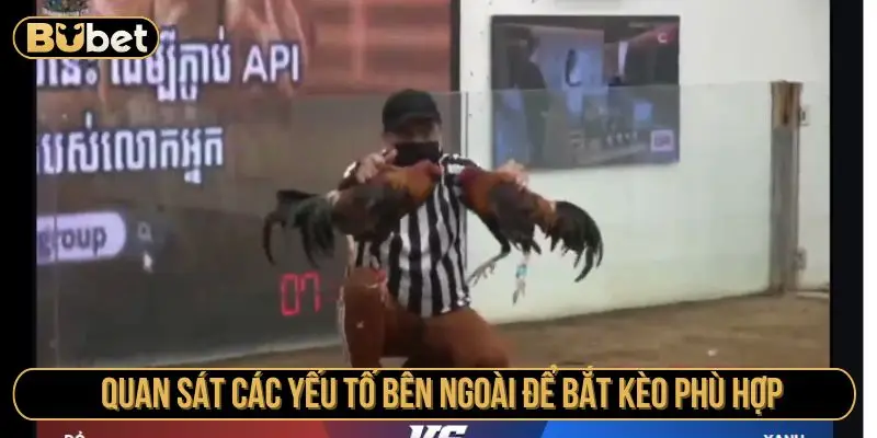 Quan sát các yếu tố bên ngoài để bắt kèo phù hợp
