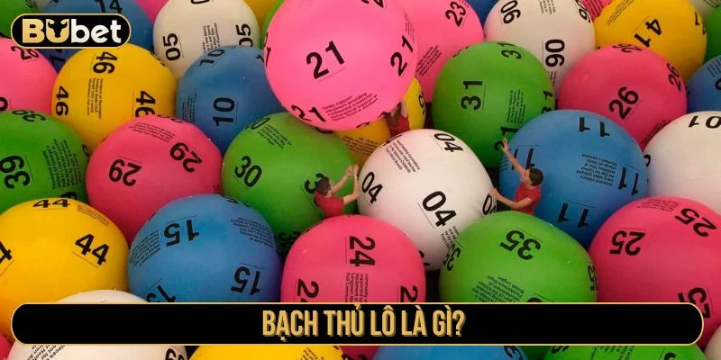 Tìm hiểu bạch thủ lô là gì