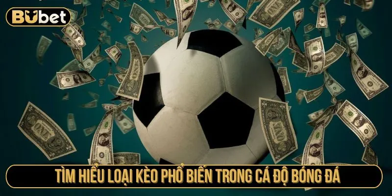 Tìm hiểu loại kèo phổ biến trong cá độ bóng đá