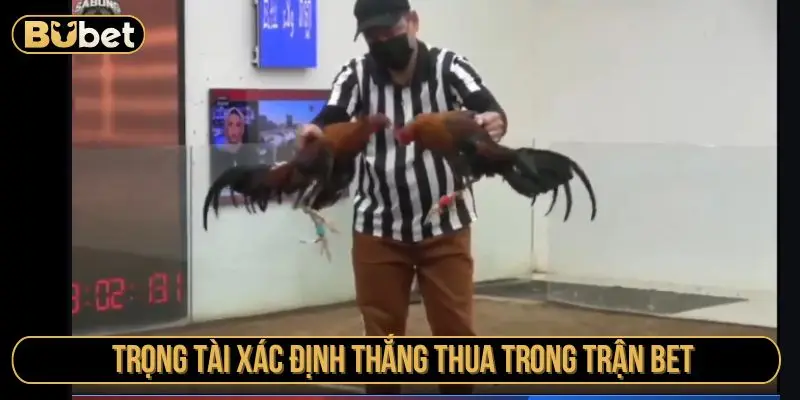 Trọng tài xác định thắng thua trong trận bet