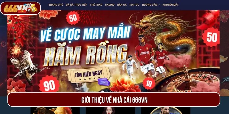 666VN là thương hiệu cược đình đám được bet thủ yêu thích
