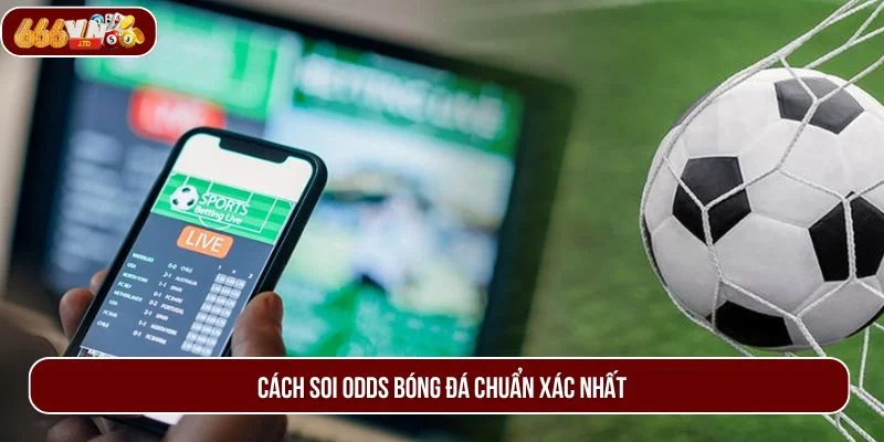 Bỏ túi các cách soi odds bóng đá chuẩn xác để rinh tiền thưởng về túi. 