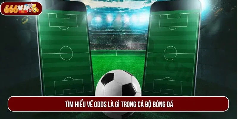 Giới thiệu về odds là gì trong cá độ bóng đá - chủ đề được quan tâm nhất. 